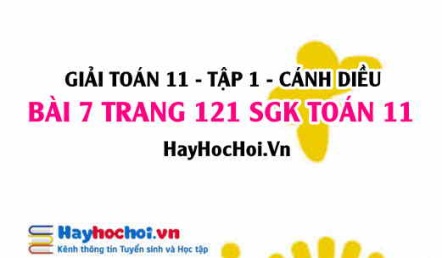 Giải bài 7 trang 121 Toán 11 tập 1 SGK Cánh Diều